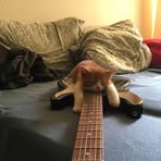 Peyton Moriarty - Facebook