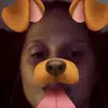 Peyton Mosley - @peytonmosley4 - TikTok