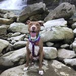Peyton Mulderig - @peypey_girl201 - Instagram