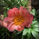 Peyton Munch - @peymunch - Instagram