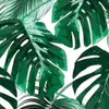 peyton990 - @peyton.pollard3 - TikTok