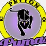 Peyton Ships - @peyton_ship_page - Instagram