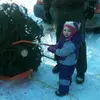 peyton_wallzwithp00 - @peyton_wallzwithp00 - TikTok