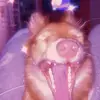peytonwall - @peyton.w2 - TikTok