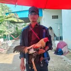 Pha Mao - Facebook