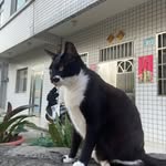 廖宛珠 - @phamaose - Instagram