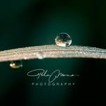 Pha Moua - @phamouaphotography - Instagram