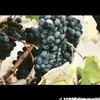 Phedra Martin - @phedra.martin - TikTok