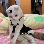 Phạm Hoàng Yến - @finae_moiio - Instagram
