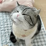 Phạm Thuý - @thysu_19 - Instagram