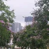 Phamthuy - @phamthuy8506 - TikTok