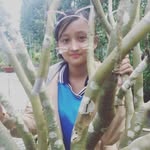 Phan Pham - @phan.pham.96155669 - Instagram