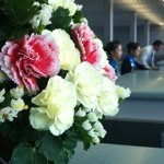 @phanpham - Instagram