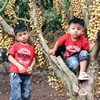 Phat Phung - @phatphung14 - TikTok