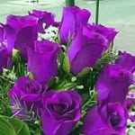 Phi Lương - @phi5359 - Instagram