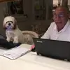 philalbanese1 - @philalbanese1 - TikTok
