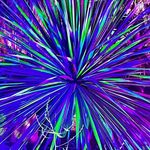 Phil Armstrong - @phil_a_71 - Instagram