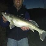 Phil Armstrong - @philarmstrong4959 - Instagram
