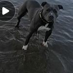 Phil Barnett - @phil.barnett - Instagram