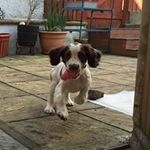Phil Bates - @philgbates - Instagram