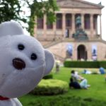 Phil - @phil_bear_aroundtheworld - Instagram