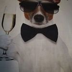 Philip Bissett - @philip.bissett.71 - Instagram