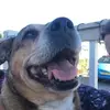 Phil Blackburn - @phil.blackburn30 - TikTok