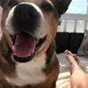 Phil Blackburn - @phil.blackburn20 - TikTok