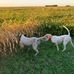 Phil Blakeman - Facebook