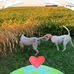 Phil Blakeman - Facebook