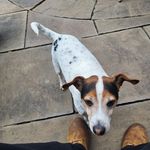 Phil Blakeman - @phil.blakeman - Instagram