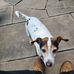 Phil Blakeman - Facebook