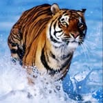 Philip C. Blount IV - @philipc.blount - Instagram
