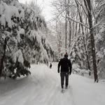 Phil Blumenthal - @philblumenthal - Instagram