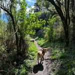 Phil - @philblythnz - Instagram