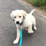 Phil - @philboehme_ - Instagram