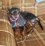 Phil Boley - Facebook