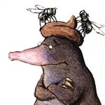 Philipp Boley - @philippboley - Instagram