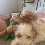 Phil Bowen - @phil.bowen.587 - Instagram