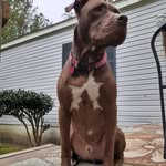 Phil Bowen - @phil.bowen.378 - Instagram