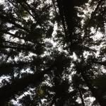 Phil Bower - @bowerworld - Instagram