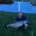 Phil Bower - Facebook