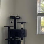 @philipbowles__bc - Instagram
