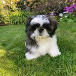 Phil Boyd - @philboyd38 - Instagram