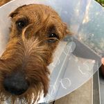 Phil Boyd - @philboyd62 - Instagram