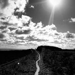 Phil Boyd - @harboursideboyd - Instagram