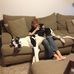 Braddock Phillips - Facebook