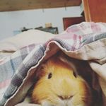 Braden Phillips - @braden.phillips.3382 - Instagram