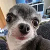 Phil Brittain - @philbrittain - TikTok