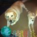 Phil Brock - Facebook